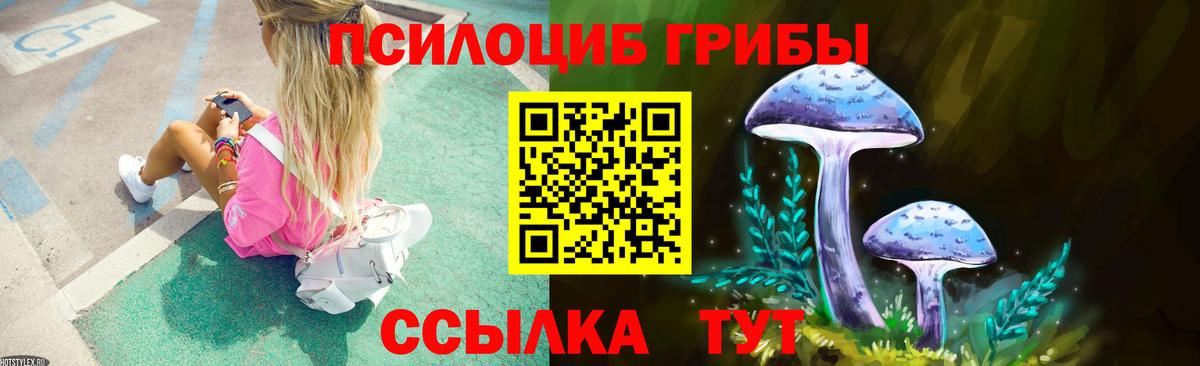 Псилоцибиновые грибы Psilocybe Ртищево